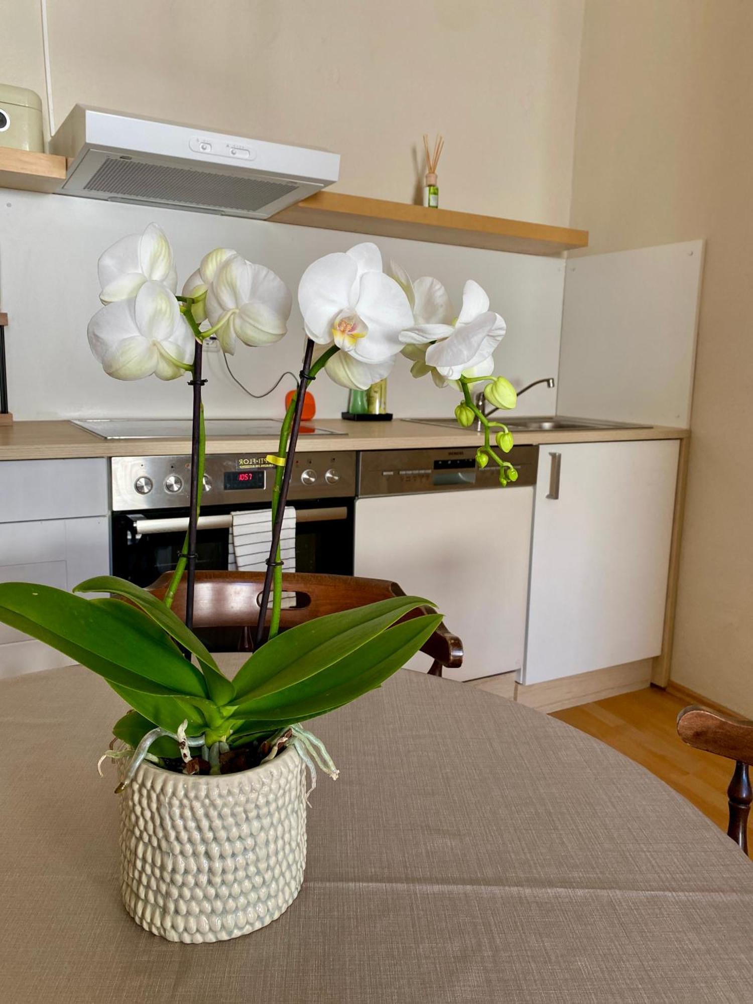 Ba Em City Apartment Wiesbaden Esterno foto